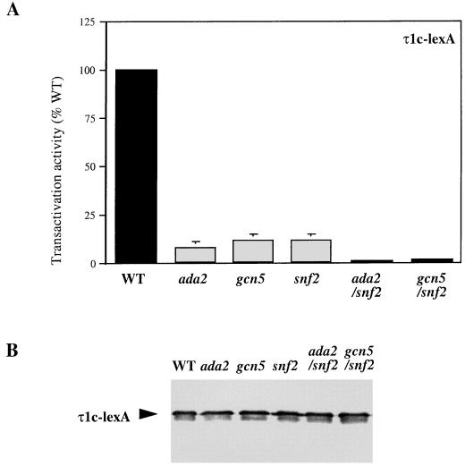 FIG. 7