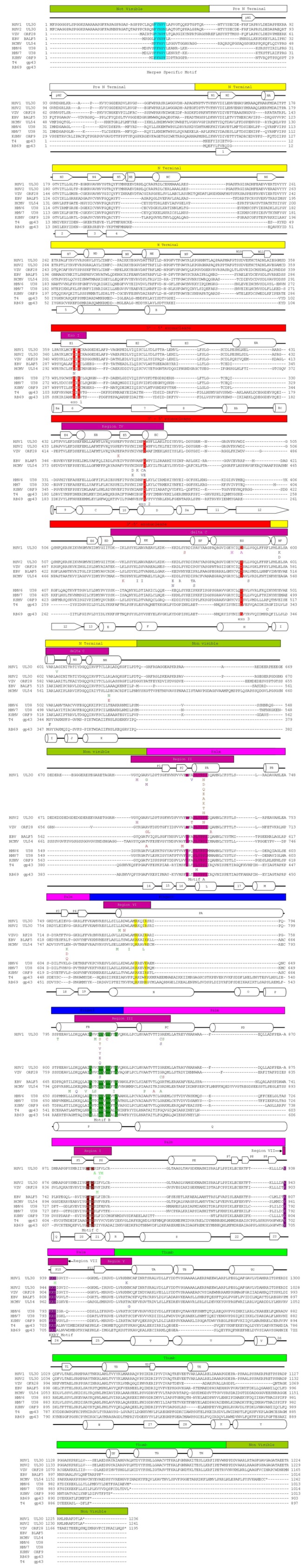 Appendix Figure A1