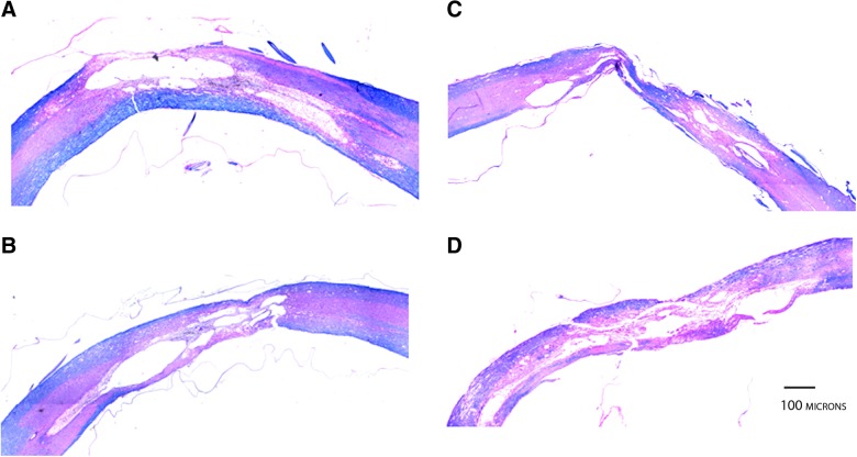 FIG. 6.