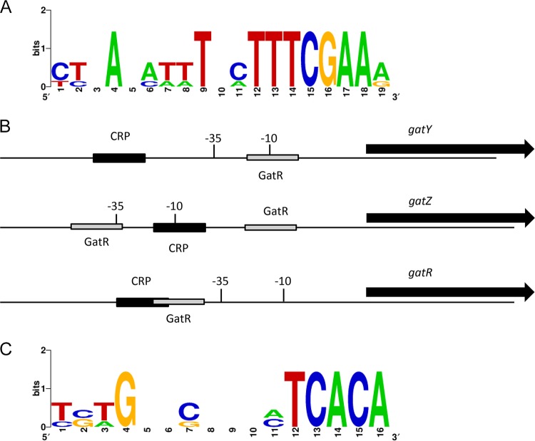 FIG 7