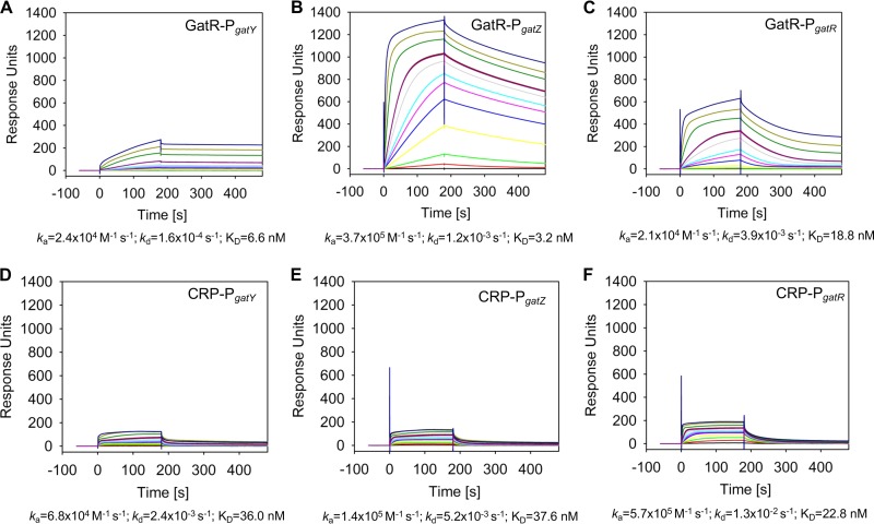 FIG 10