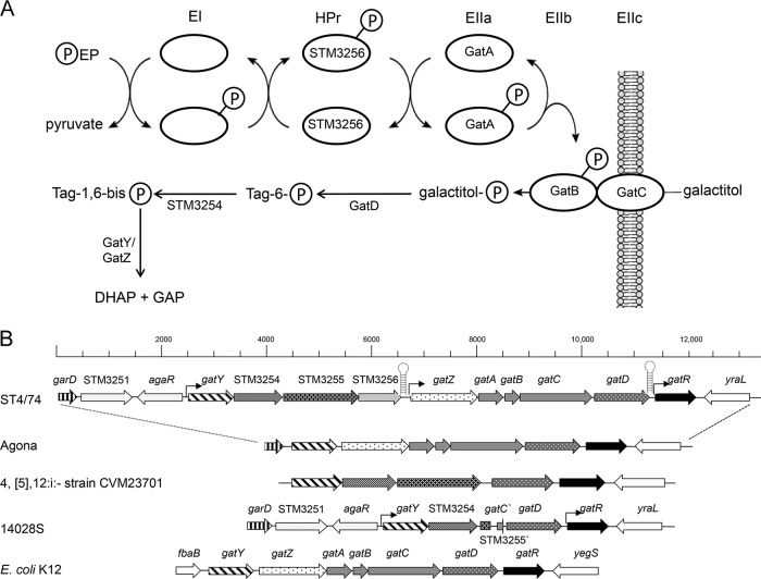 FIG 3