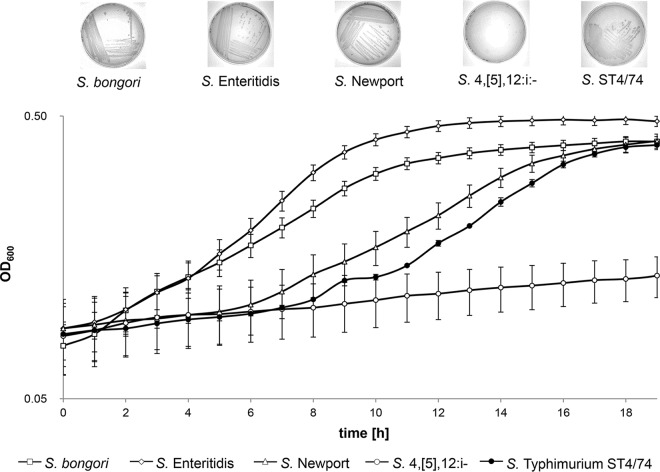 FIG 1