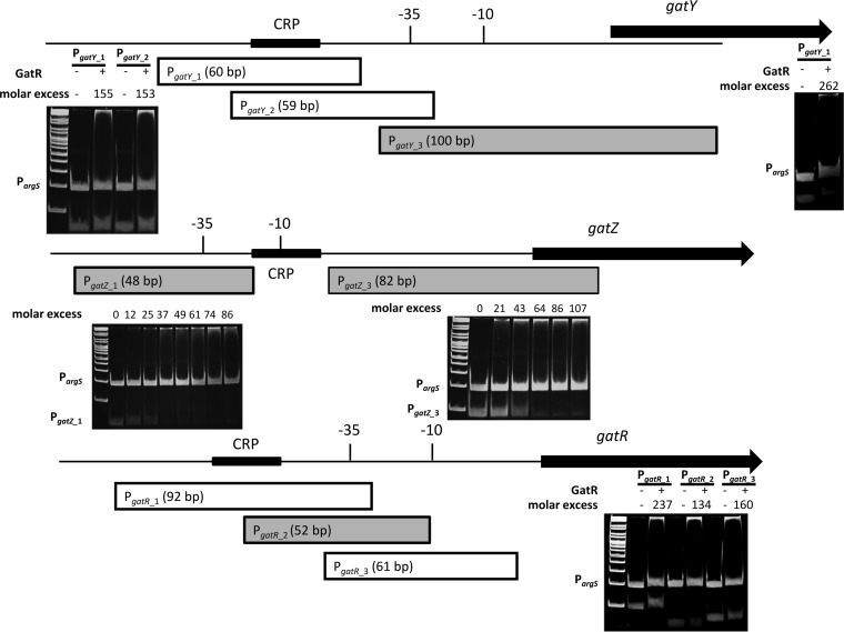 FIG 6