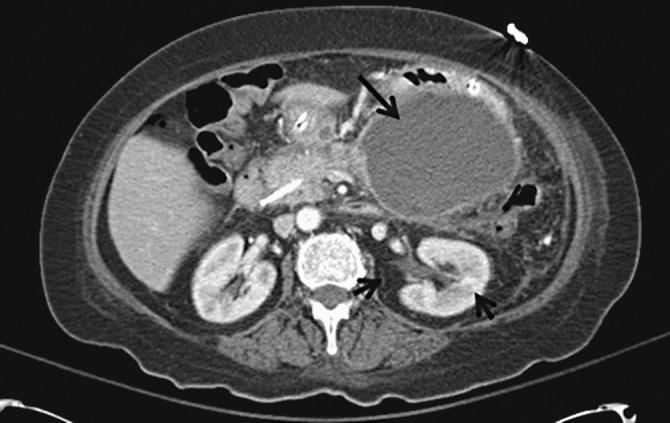 Fig. 20.5