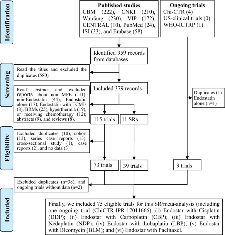 Figure 1