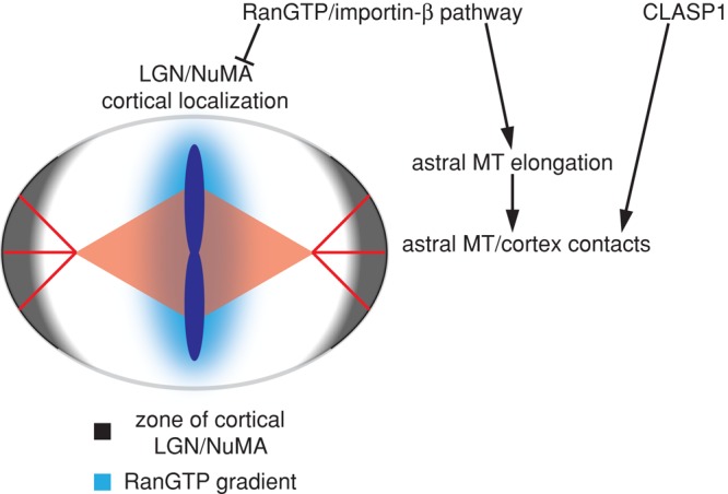 FIGURE 6: