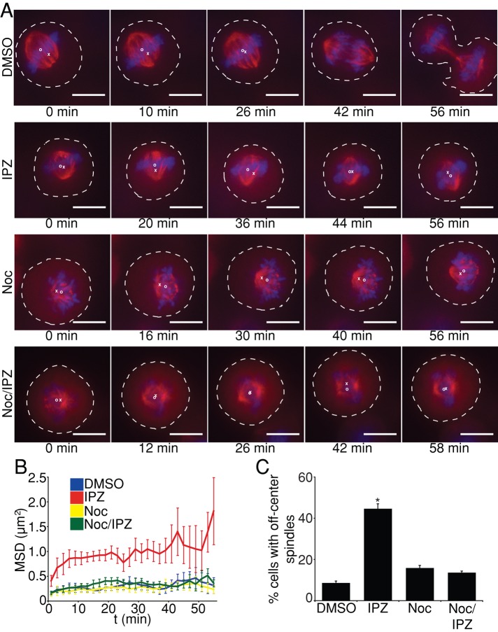 FIGURE 4: