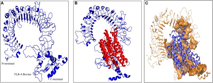 Figure 5