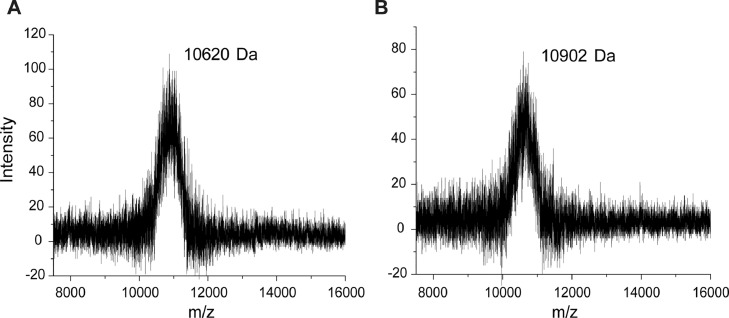 Fig 5