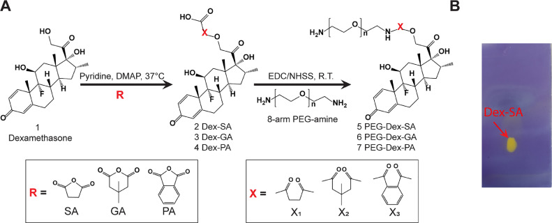 Fig 2A