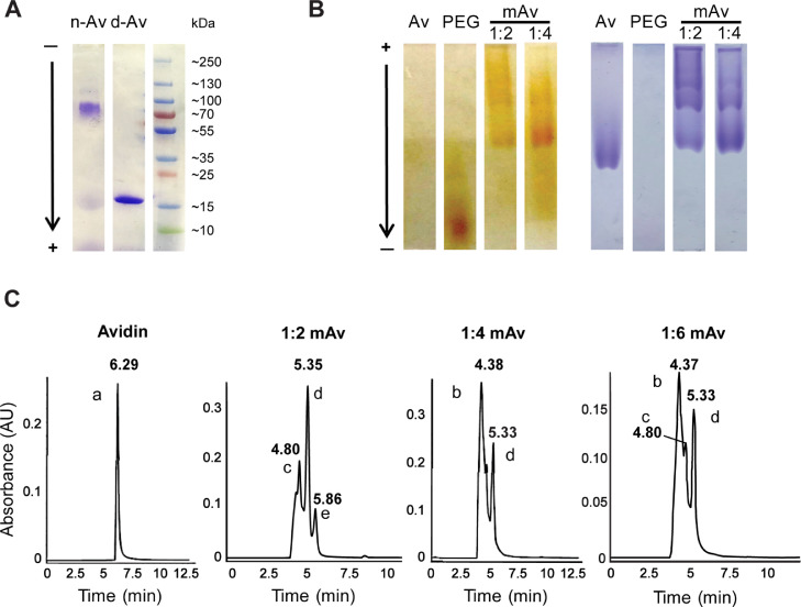 Fig 6A