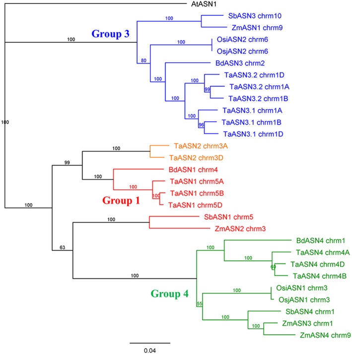 FIGURE 2