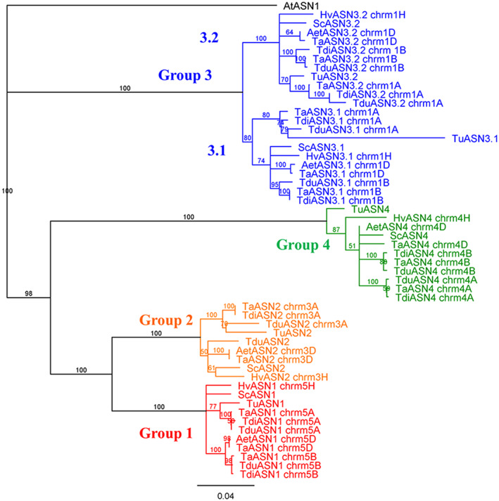 FIGURE 1