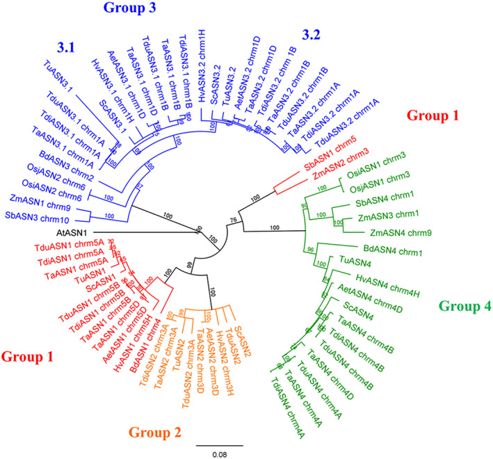 FIGURE 3