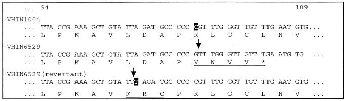 FIG. 6.