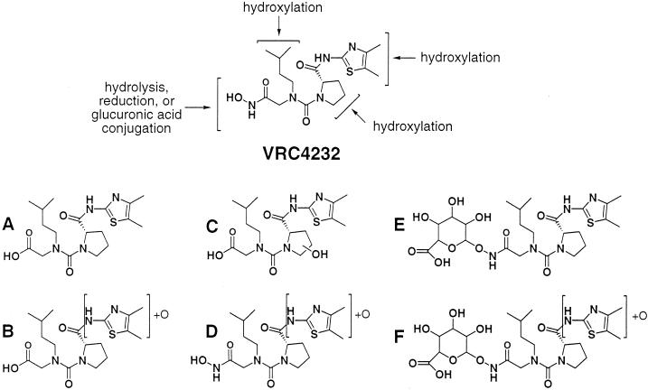 FIG. 7.