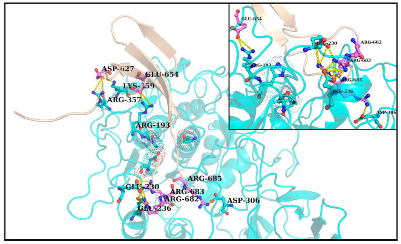 Figure 6