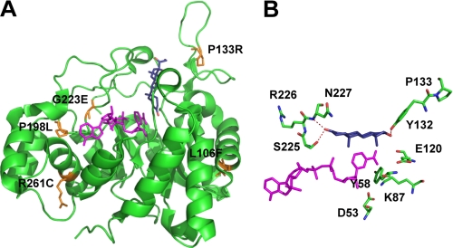 FIGURE 1.