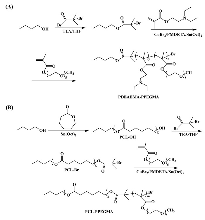 Scheme 2