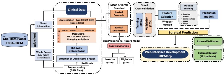 FIGURE 1