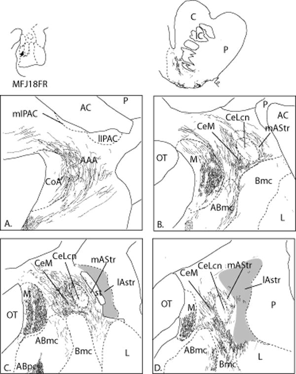 Fig. 13