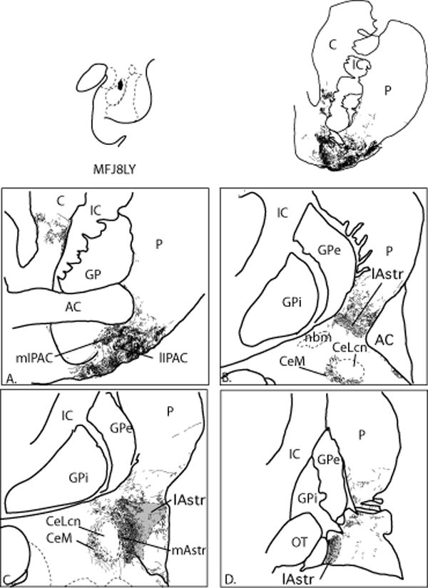 Fig. 12