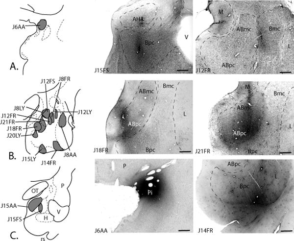 Fig. 9