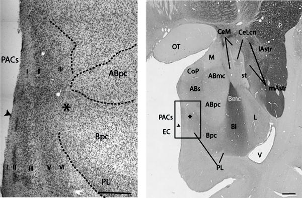 Fig.1