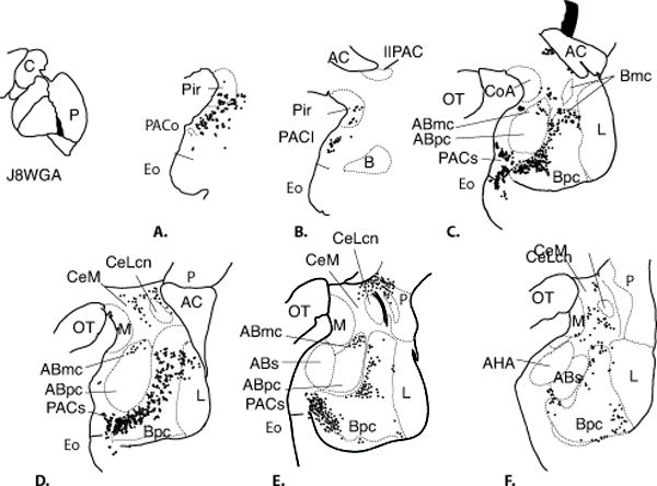 Fig. 8