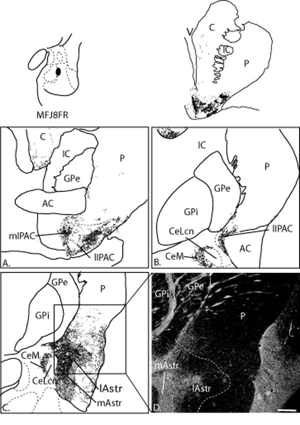 Fig. 10