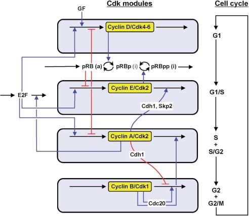 Fig. 1.