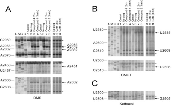 Figure 4.