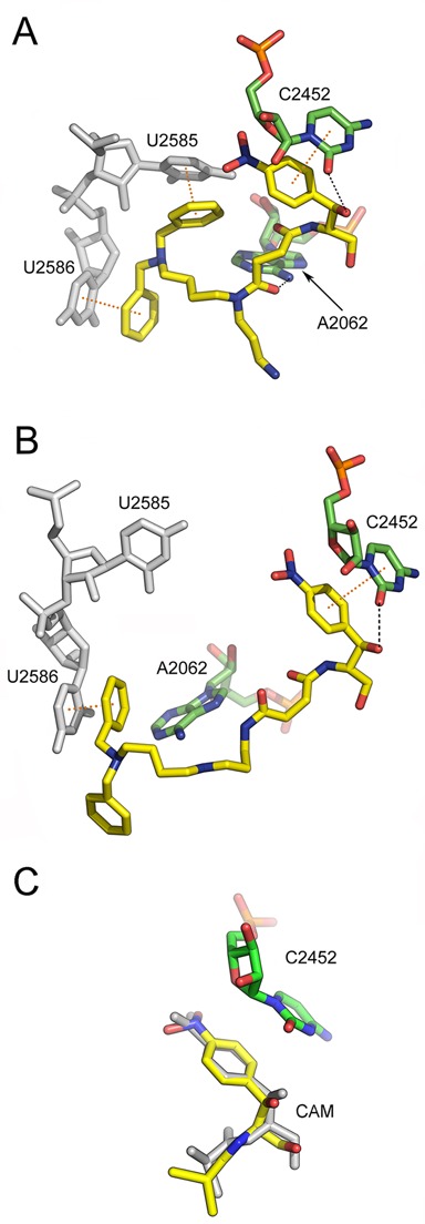 Figure 5.