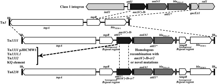 FIG 2