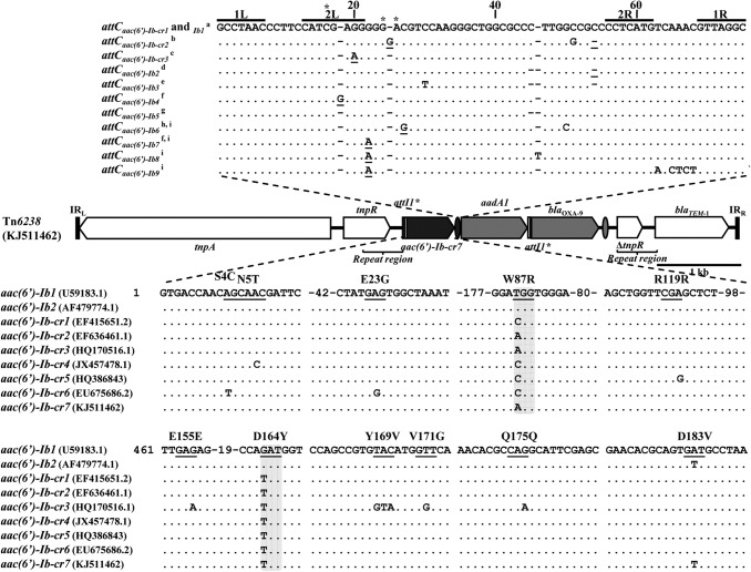 FIG 1