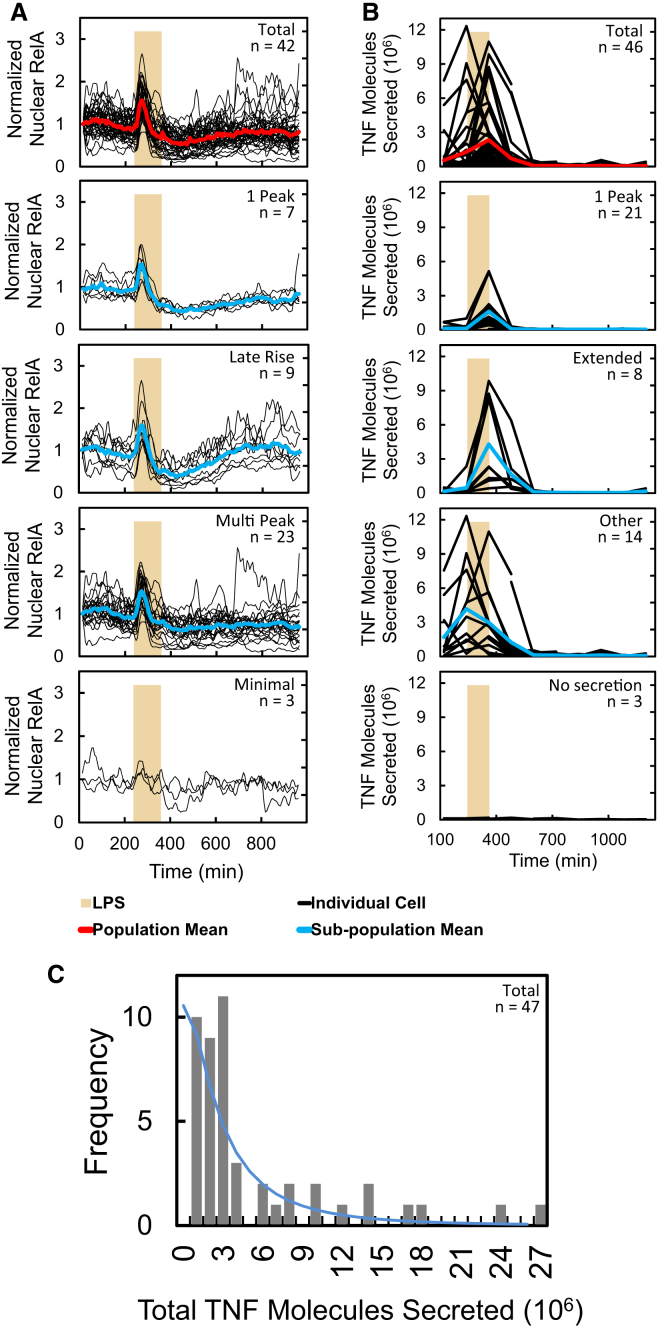 Figure 5