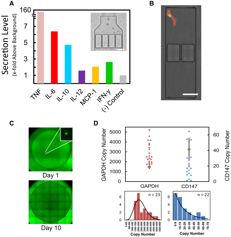 Figure 3