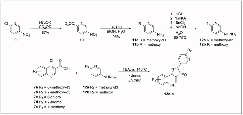 Scheme 2: