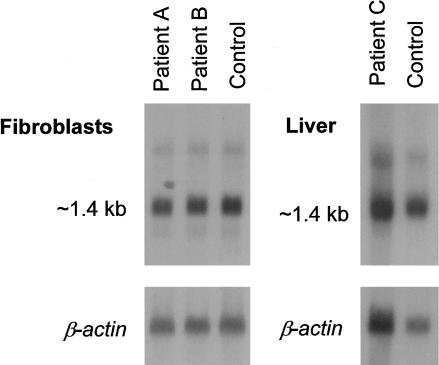 Figure  2