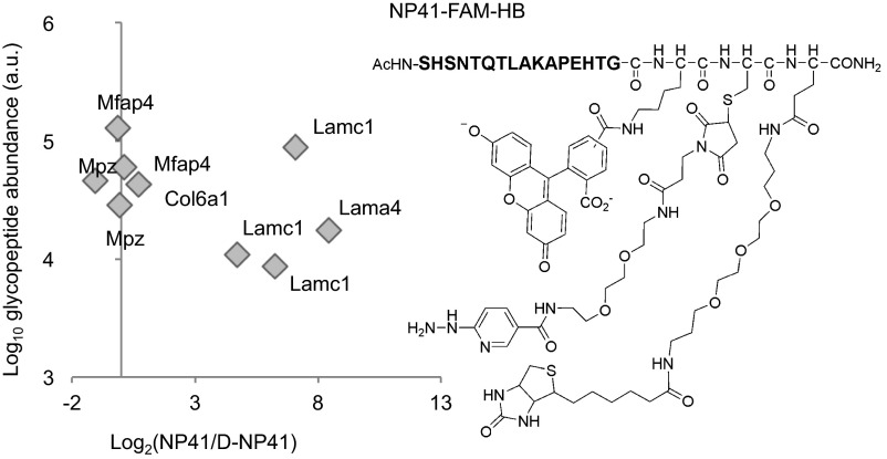 Fig. 4.