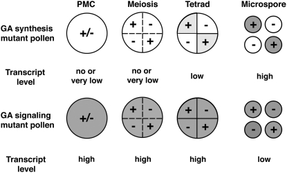 Figure 8.