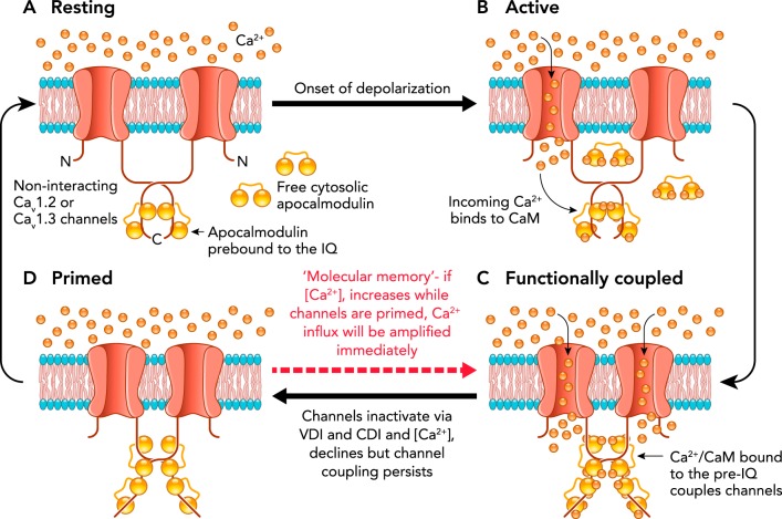 FIGURE 1.