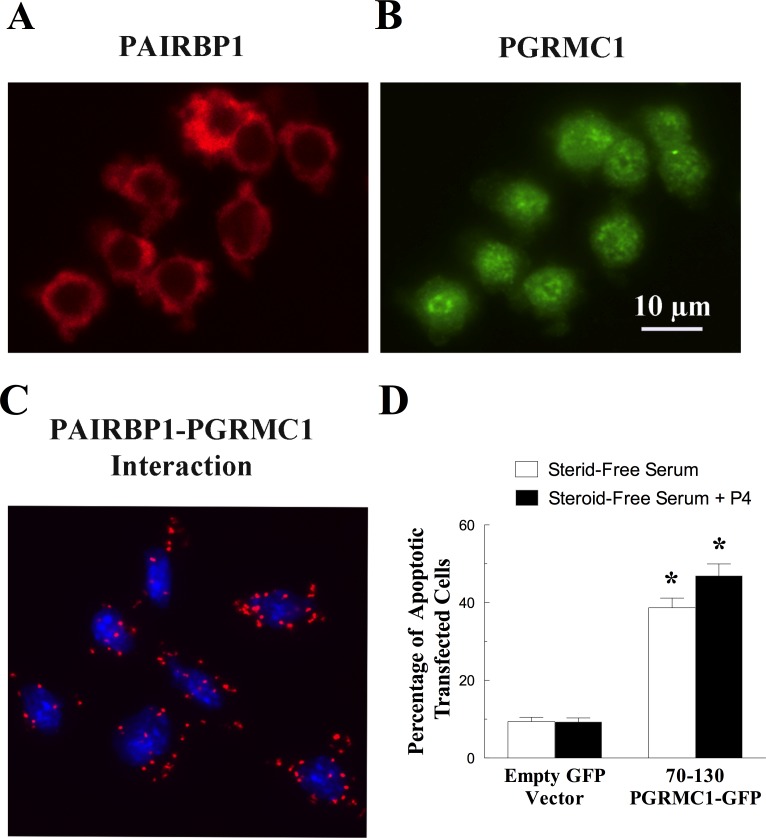 FIG. 6