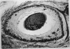 80-3