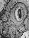 80-2