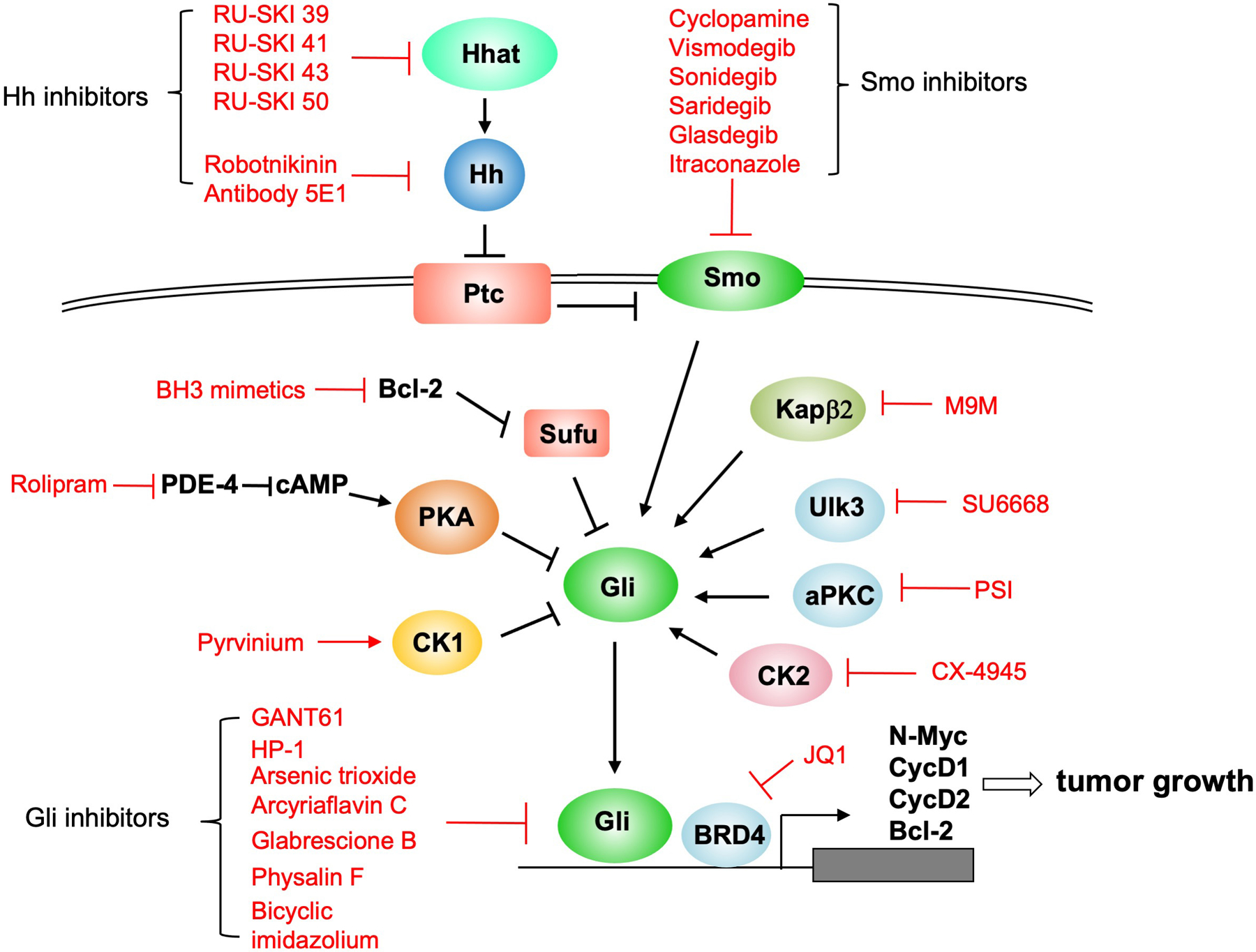 Figure 4.