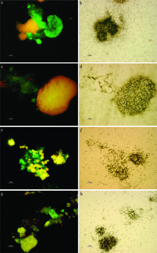 FIG. 7.