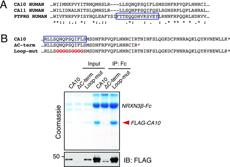 Fig. S9.