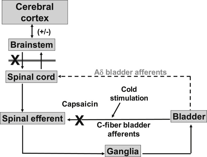 Fig. 6